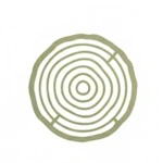 Plywood is Sustainable Solution Circular pattern resembling tree rings